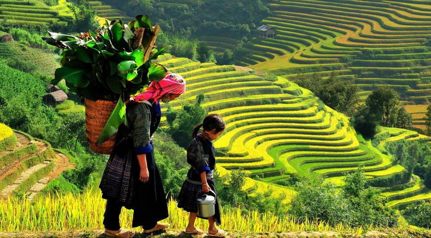 visit sapa to get fresh air & beautiful scenery