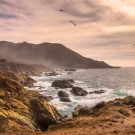 Donaugh Gordon Avatar